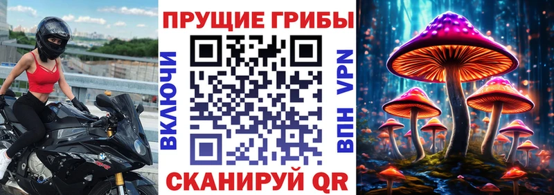 Псилоцибиновые грибы ЛСД  mega как войти  Николаевск 